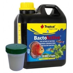 Żywe kultury bakterii Tropical Bacto-Active 100ml