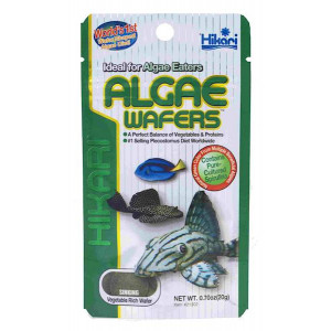 Pokarm Hikari Algae Wafers 20g wafelki