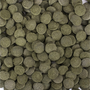 Pokarm Tropical Hi-Algae Discs 100g dyski wafelki